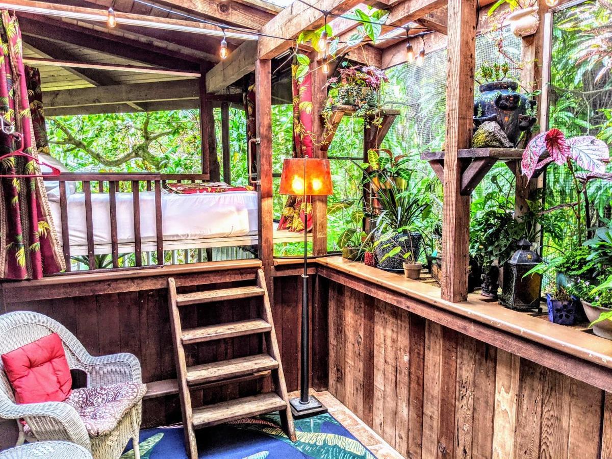 Kehena Mauka Nui Club Lgbtqia+ Clothing Optional Bed & Breakfast Pahoa Room photo